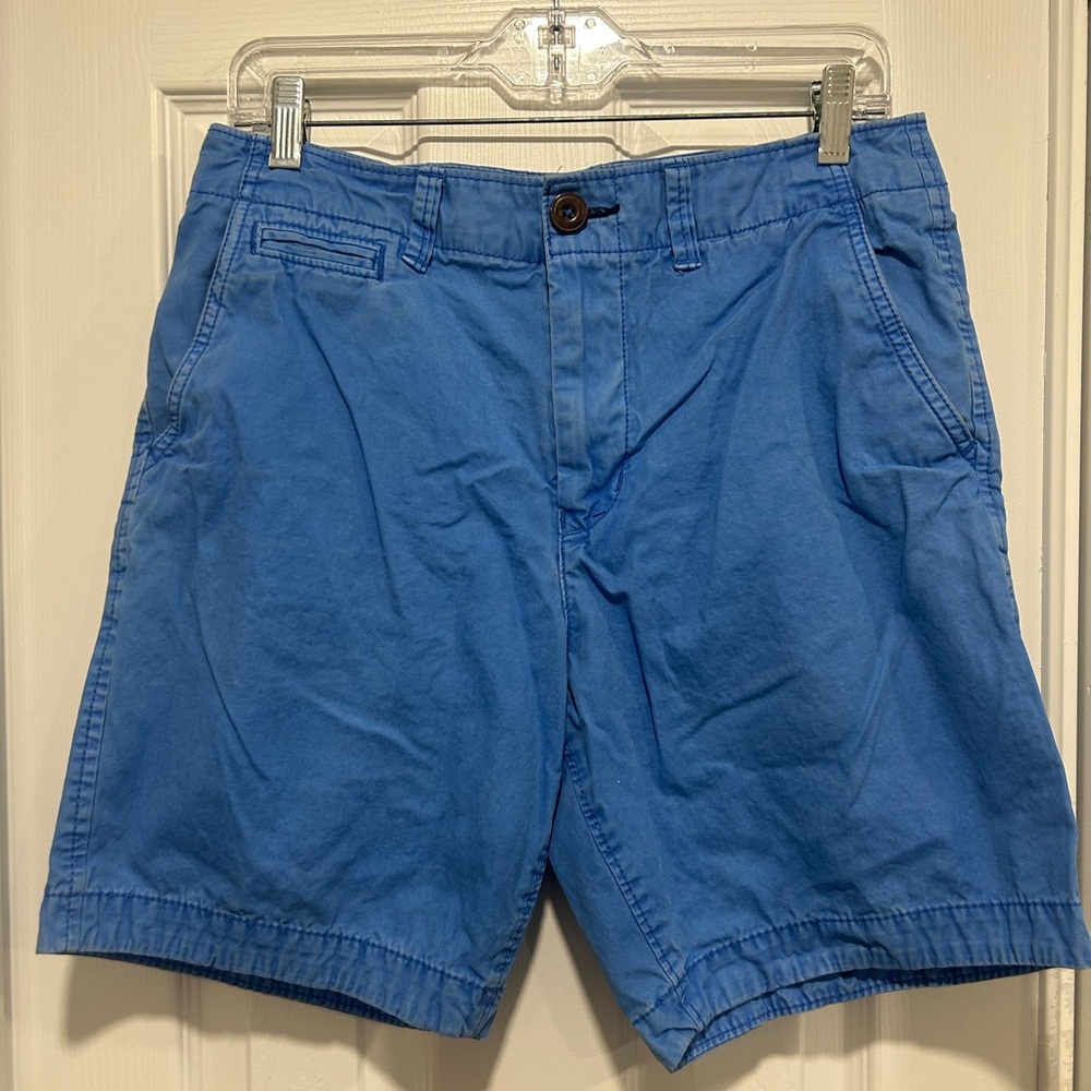American Eagle‎ Outfitters Blue Flat Front Shorts